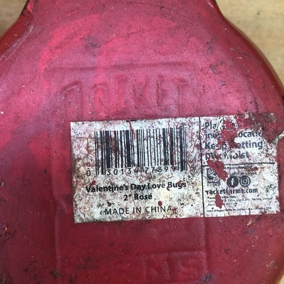 Set of 2 Rocket Farms Lovebugs Ladybugs Mini Planters Pink & Red with Hearts - Picture 8 of 8